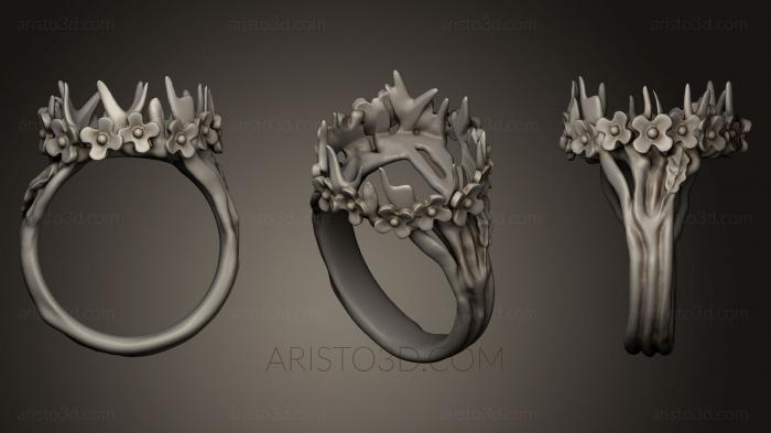 Jewelry rings (JVLRP_0226) 3D model for CNC machine